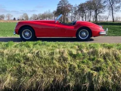 Rood Gebruikt 1954 Jaguar XK Cabriolet | € 117.500