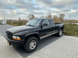 Zwart Gebruikt 2001 Dodge Dakota Pickup | € 12.500