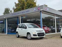 Wit Gebruikt 2019 Fiat Panda Easy Hatchback | € 10.450 (Eerlijke prijs)
