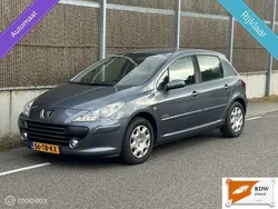 Grijs Gebruikt 2006 Peugeot 307 Hatchback | € 3.999 (Duur)
