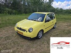 Geel Gebruikt 2000 VW Lupo Hatchback | € 699 (Eerlijke prijs)