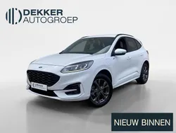 Wit Gebruikt 2024 Ford Kuga ST-Line SUV | € 33.945 (Iets duurder)