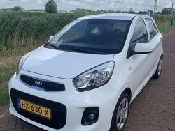 Wit Gebruikt 2016 Kia Picanto Hatchback | € 7.700 (Eerlijke prijs)