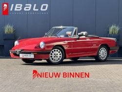 Rood Gebruikt 1989 Alfa Romeo Spider Quadrifoglio Verde Cabriolet | € 17.500