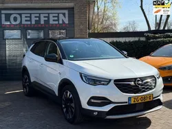 Wit Gebruikt 2019 Opel Grandland X Ultimate SUV | € 22.950 (Eerlijke prijs)