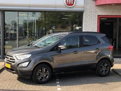 Grijs, metallic lak Gebruikt 2018 Ford Ecosport Titanium SUV | € 13.950 (Eerlijke prijs)