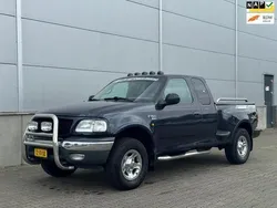 Blauw Gebruikt 2001 Ford F-150 Pickup | € 4.999 (Super prijs)