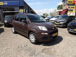 Bruin Gebruikt 2012 Fiat Panda Lounge Hatchback | € 3.695 (Eerlijke prijs)
