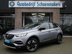 Grijs Gebruikt 2021 Opel Grandland X SUV | € 21.940 (Eerlijke prijs)