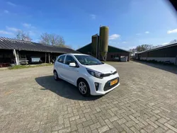 Wit Gebruikt 2019 Kia Picanto Hatchback | € 7.995 (Goede deal)