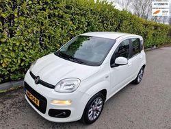 Wit (metallic) Gebruikt 2020 Fiat Panda Lounge Hatchback | € 9.990 (Eerlijke prijs)