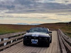 Zwart Gebruikt 2006 Ford Mustang GT Cabriolet | € 22.000