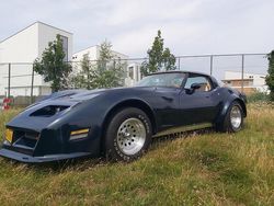 Groen Gebruikt 1979 Chevrolet Corvette Coupé | € 18.950