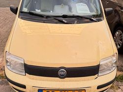 Geel Gebruikt 2006 Fiat Panda Active Hatchback | € 1.200 (Eerlijke prijs)
