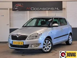 Grijs Gebruikt 2010 Skoda Fabia Ambition Hatchback | € 5.495 (Iets duurder)