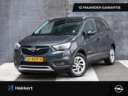 Grijs Gebruikt 2018 Opel Crossland X Innovation SUV | € 12.295 (Eerlijke prijs)