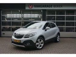 Grijs Gebruikt 2014 Opel Mokka Edition SUV | € 8.950 (Eerlijke prijs)