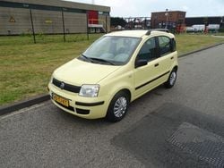 Geel Gebruikt 2006 Fiat Panda Active Hatchback | € 1.895 (Eerlijke prijs)