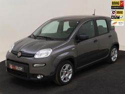 Grijs Gebruikt 2024 Fiat Panda Hatchback | € 15.950 (Super prijs)