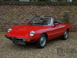 Rood Gebruikt 1982 Alfa Romeo Spider Veloce Cabriolet | € 26.750