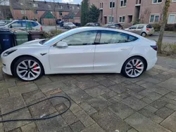 Wit Gebruikt 2019 Tesla Model 3 Performance Sedan | € 25.999 (Eerlijke prijs)