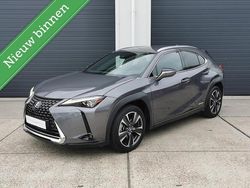 Grijs Gebruikt 2019 Lexus UX 250h Executive Line SUV | € 25.999 (Eerlijke prijs)