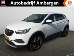 Wit Gebruikt 2020 Opel Grandland X Executive SUV | € 17.950 (Eerlijke prijs)