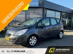 Grijs Gebruikt 2013 Opel Meriva Edition MPV | € 8.850 (Eerlijke prijs)