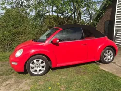 Rood Gebruikt 2003 VW Beetle Highline Cabriolet | € 2.500 (Goede deal)