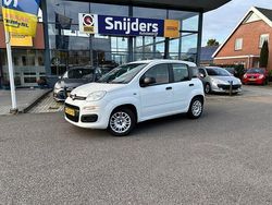 Wit Gebruikt 2014 Fiat Panda Hatchback | € 5.350 (Eerlijke prijs)