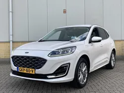 Wit Gebruikt 2023 Ford Kuga SUV | € 33.945 (Iets duurder)