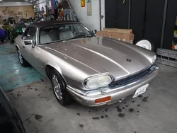 Groen Gebruikt 1994 Jaguar XJS S Sedan | € 20.750