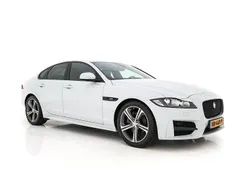 Wit Gebruikt 2015 Jaguar XF Portfolio Sedan | € 12.945 (Eerlijke prijs)