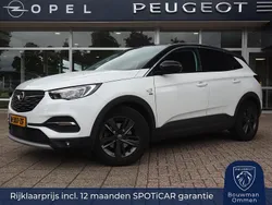 Wit Gebruikt 2020 Opel Grandland X Business Elegance SUV | € 22.950 (Eerlijke prijs)