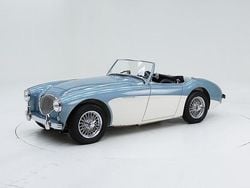Overige Gebruikt 1954 Austin Healey 100 Cabriolet | € 75.000
