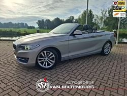 Grijs Gebruikt 2015 BMW 220 Executive Cabriolet | € 16.950 (Duur)