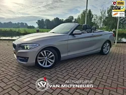 Grijs Gebruikt 2015 BMW 220 Executive Cabriolet | € 16.950 (Duur)