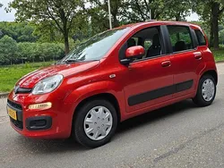 Rood Gebruikt 2014 Fiat Panda Hatchback | € 5.950 (Eerlijke prijs)