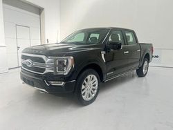 Zwart Gebruikt 2024 Ford F-150 Limited Pickup | € 90.750