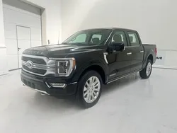 Zwart Nieuw 2024 Ford F-150 Limited Pickup | € 90.750