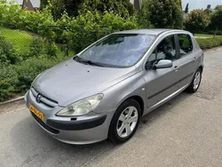 Grijs Gebruikt 2003 Peugeot 307 Hatchback | € 999 (Goede deal)