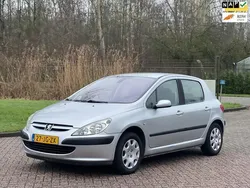 Grijs Gebruikt 2002 Peugeot 307 Hatchback | € 1.699 (Eerlijke prijs)