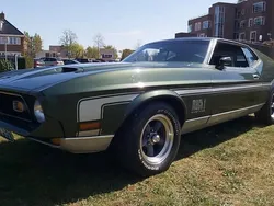 Groen Gebruikt 1971 Ford Mustang Mach 1 Coupé | € 33.950