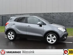 Grijs Gebruikt 2014 Opel Mokka Cosmo SUV | € 12.940 (Eerlijke prijs)
