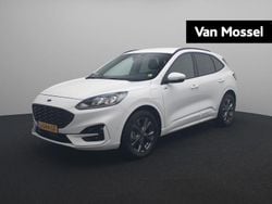 Wit Gebruikt 2020 Ford Kuga ST-Line SUV | € 19.995 (Eerlijke prijs)