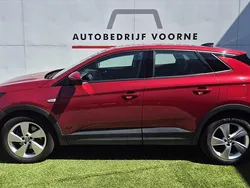 Rood Gebruikt 2021 Opel Grandland X Business Elegance SUV | € 23.545 (Goede deal)