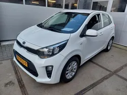Wit Gebruikt 2019 Kia Picanto Hatchback | € 7.750 (Eerlijke prijs)