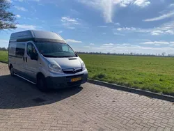 Zilver Gebruikt 2008 Opel Vivaro Van | € 9.500