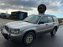 Grijs Gebruikt 2003 Subaru Forester SUV | € 1.499 (Eerlijke prijs)