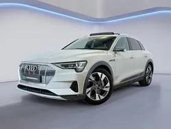 Beige Gebruikt 2019 Audi e-tron Advanced Plus SUV | € 34.944 (Iets duurder)